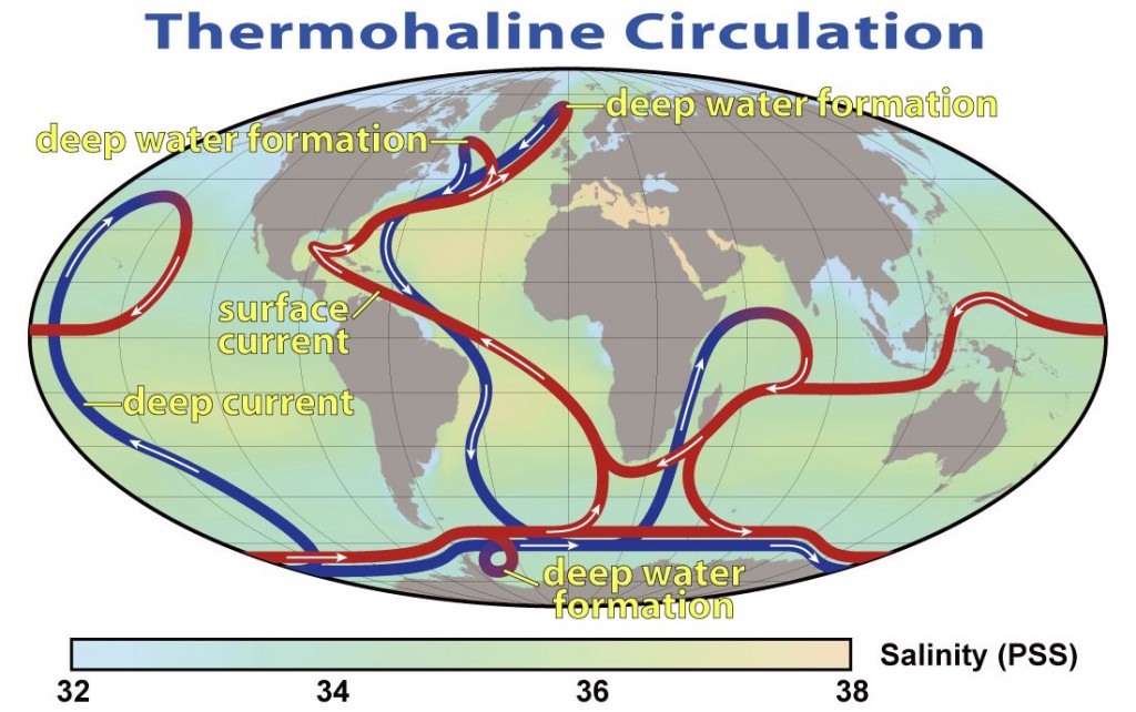 This map shows the pattern of thermohaline circulation. This collection of currents is responsible for the large-scale exchange of water masses in the ocean, including providing oxygen to the deep ocean. The entire circulation pattern takes ~2000 years. Credit: Nasa Earth Observatory.