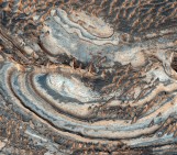 Geosciences Column: The quest for life on Mars
