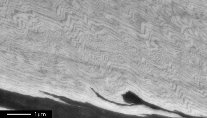 Imaggeo on Mondays: A fold belt within a grain