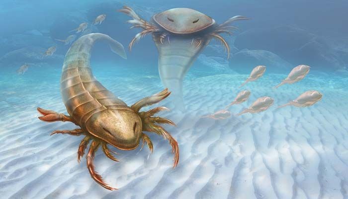Geosciences Column: The Oldest Eurypterid