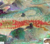 Imaggeo on Mondays: Velociraptor in the Zagros Mountains