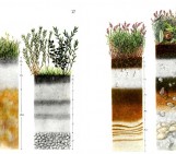 Geosciences Column: Soil in art