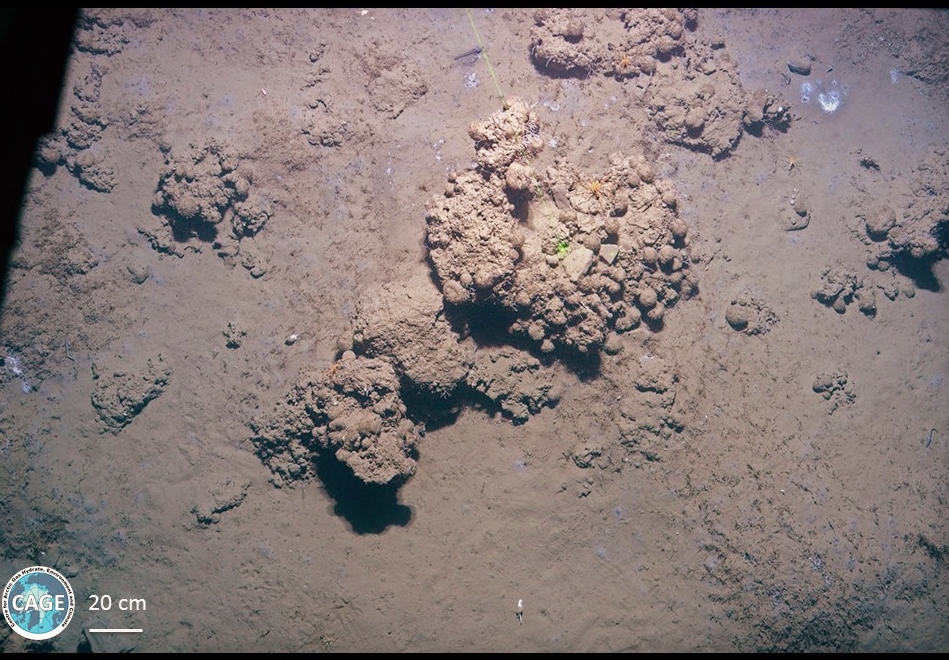 GeoLog microbial mats