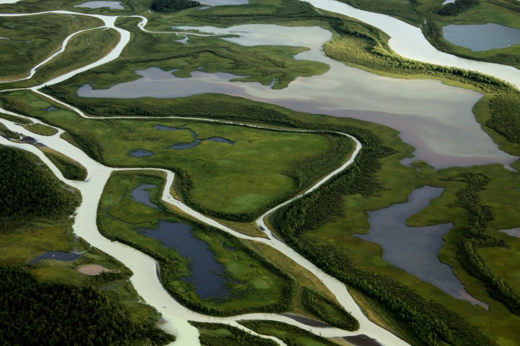  'Living flows'. Credit: Marc Girons Lopez (distributed via imaggeo.egu.eu). River branches and lagoons in the Rapa river delta, Sarek National Park, northern Sweden. The lush vegetation creates a stark contrast with the glacial sediments transported by the river creating a range of tonalities. 
