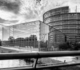 GeoPolicy: How do Members of European Parliament learn about science?