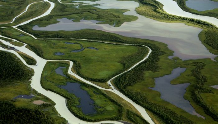 Imaggeo on Mondays: Living flows