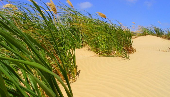 Imaggeo on Mondays: Coastal erosion