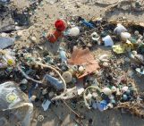 GeoTalk: Investigating the transport of plastic pollution in the oceans