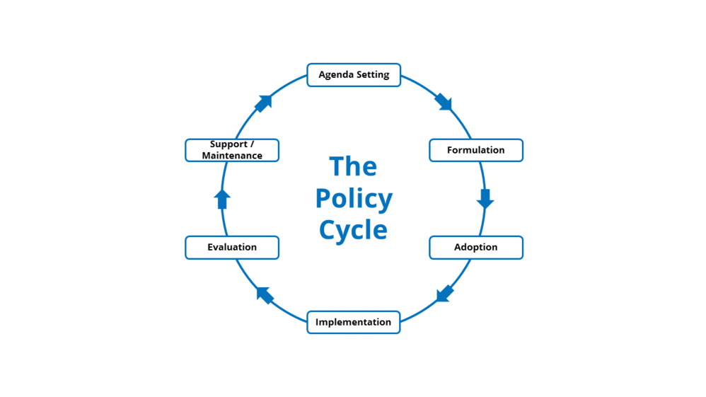 The policy cycle and where scientific advice can be given.