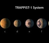 Comparing the TRAPPIST-1 planets