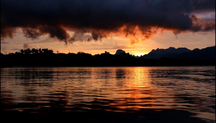 Imaggeo on Mondays: One of the oldest evergreen rainforests in the world