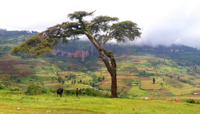 Imaggeo on Mondays: Mount Elgon, a balance between fertility and destruction