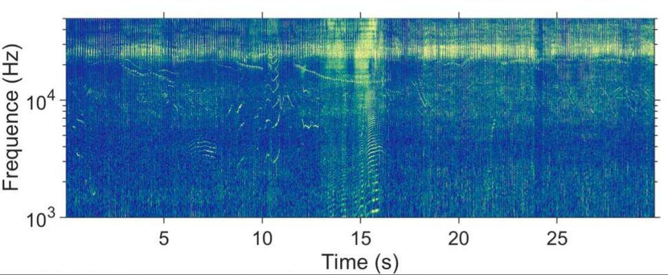 Spectrogram Underwater GeoLog | Underwater robot shares ocean secrets