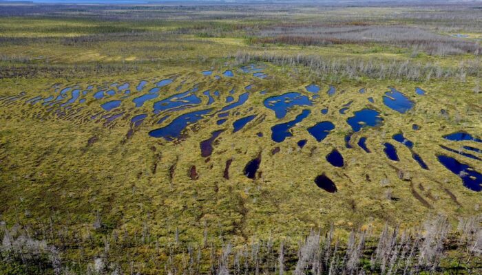 Imaggeo on Mondays: Patterns in the peatland