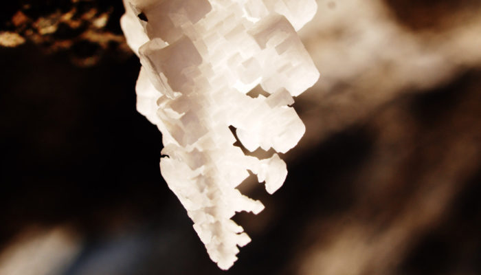 Imaggeo on Mondays: The ephemeral salt crystals