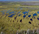 The Carbon Potential of Peat