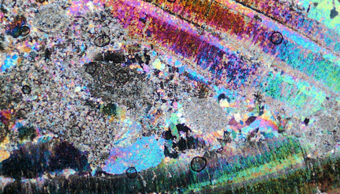 Imaggeo On Mondays: Psychedelic Foraminifera