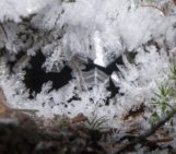 Imaggeo On Monday: Nature of ice crystals