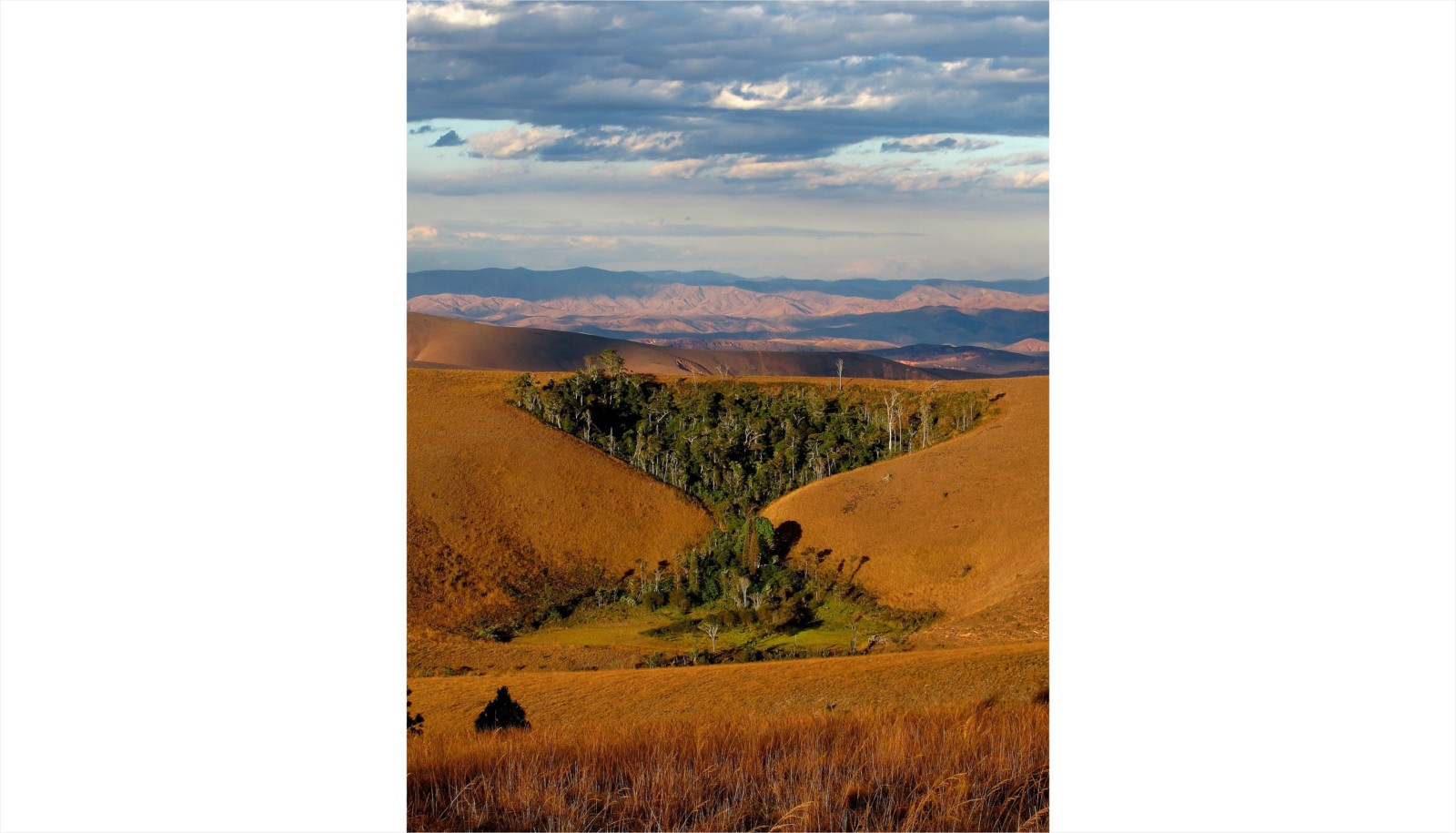 GeoLog Imaggeo On Monday Stands Of Time