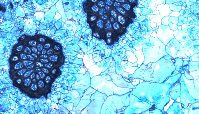 Imaggeo On Monday: Blue cements in Jurassic rocks?