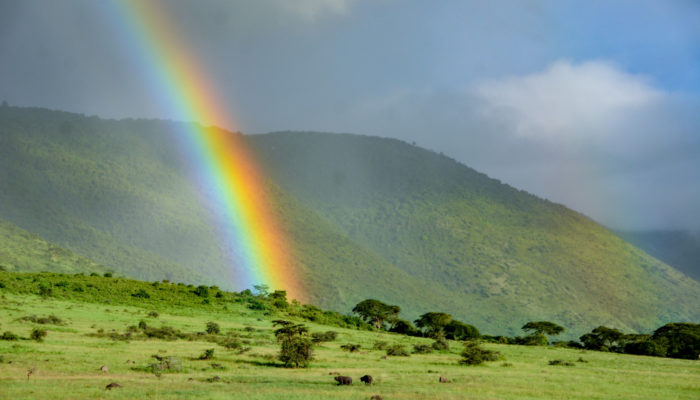 Imaggeo On Monday: Pot of Gold: Ngorongoro Crater
