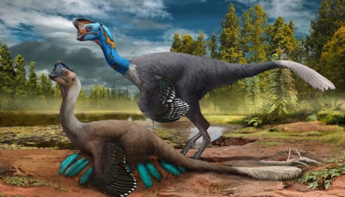 100 years since we learned dinosaurs laid eggs, what do we know now?