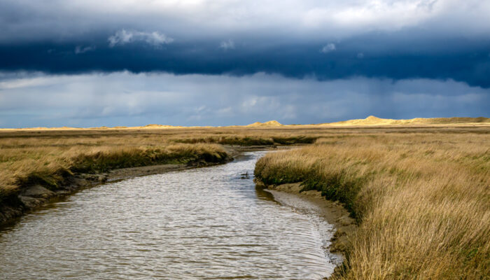 Tidal channel and saltmarsh in Germany