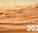 Are you ready to vote for your favourite Division blog of 2023?