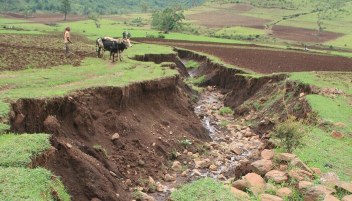 Can we mend our Earth, one gully at a time? New research reveals that the answer is YES!