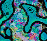 EGU Photo Competition 2026: Now open for submissions!