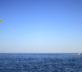 Surf’s up and so are marine heatwaves! How AI is forewarning the Mediterranean’s ocean sizzle