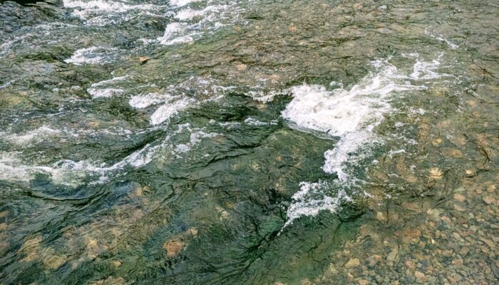 Trans masculinities, embodied geographies and the River Neath