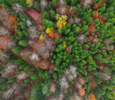 Democracy from the ivory tower: A response to the Anti-autocracy Handbook from a Global South perspective