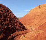 Why we need to put plants back in the soil carbon picture