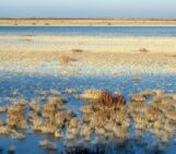 Geoscientific perspectives on global wetland systems: Between traditional knowledge and cultural heritage