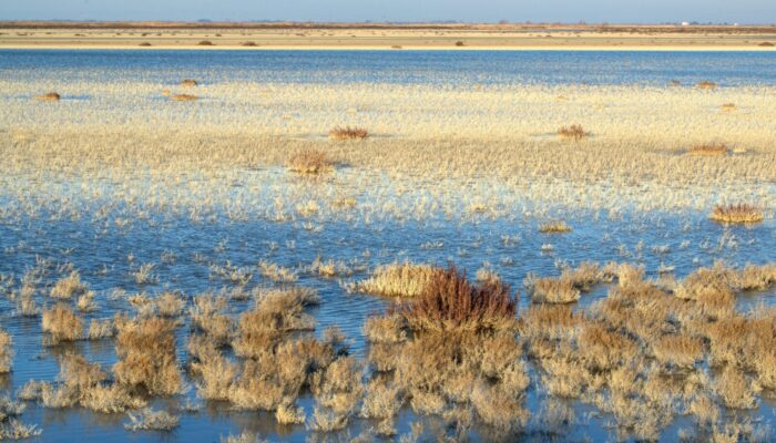 Geoscientific perspectives on global wetland systems: Between traditional knowledge and cultural heritage
