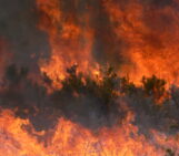 GeoPolicy: Response to the new European climate resilience framework