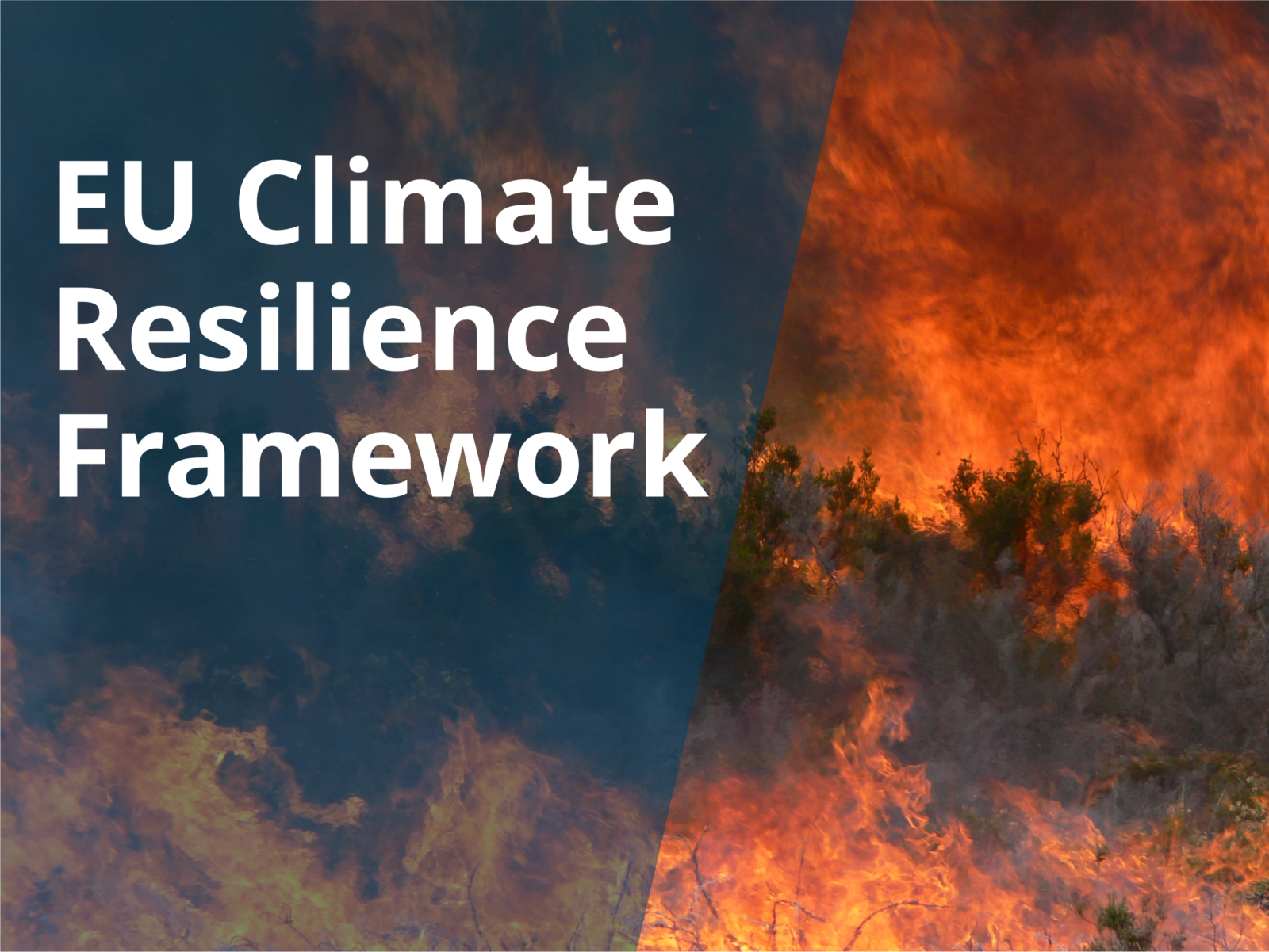 GeoLog | GeoPolicy: Response to the new European climate resilience ...