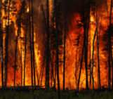 A trial by fire: Can we learn how to read a burning planet?