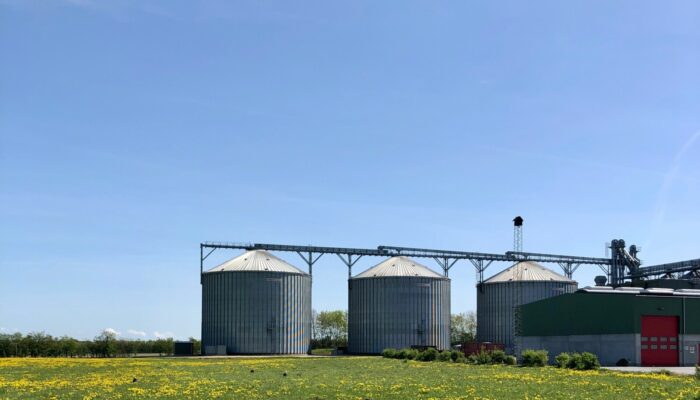 A geoscience reality check on World Biofuels Day