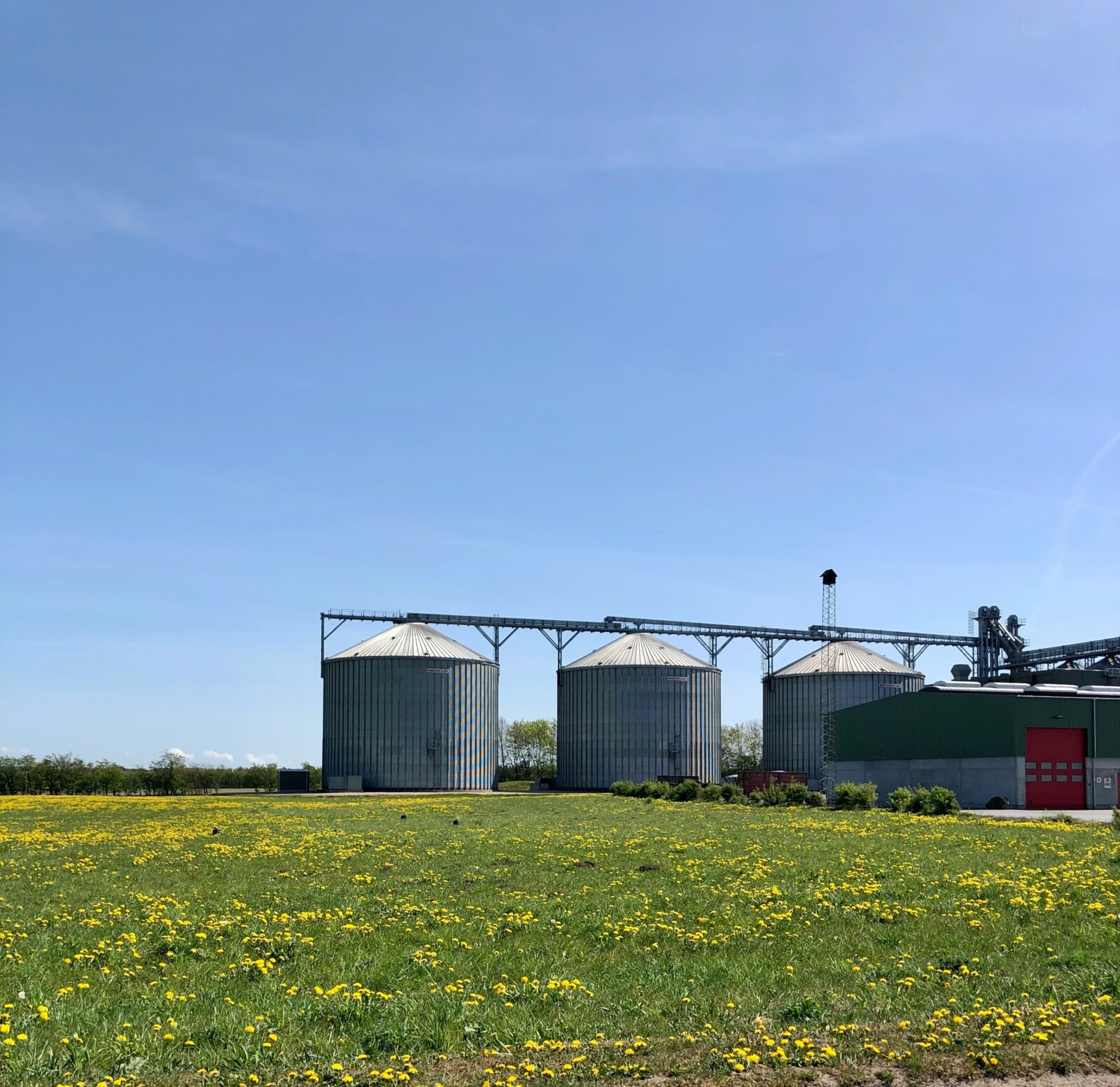 A geoscience reality check on World Biofuels Day | EGU Geolog