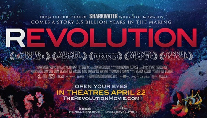 Film review: Revolution