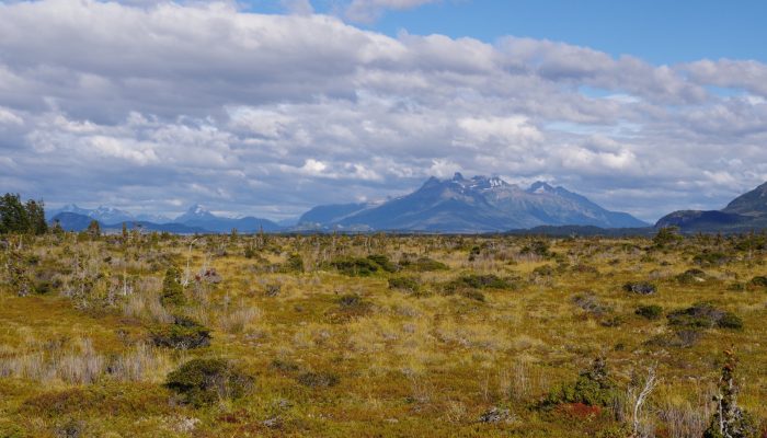 Imaggeo on Mondays: The unique bogs of Patagonia