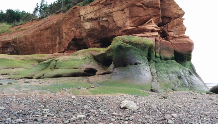 Imaggeo on Mondays: A modern cliff hides ancient dunes