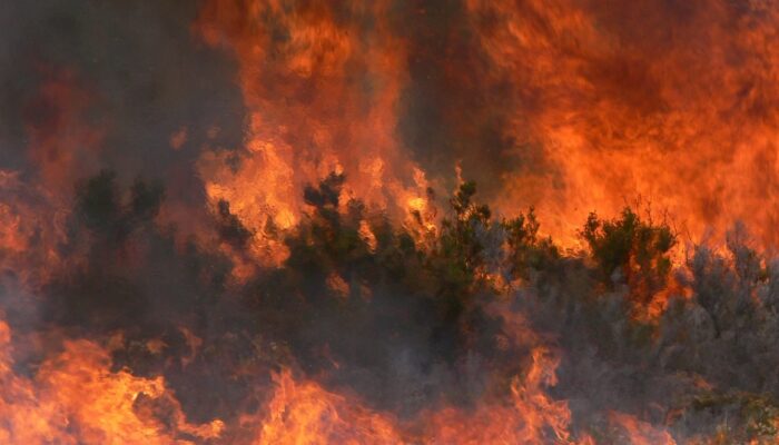 Imaggeo on Mondays: A painted forest fire