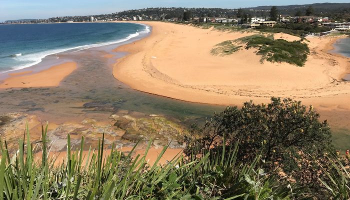 Back for the first time: measuring change at Narrabeen–Collaroy Beach