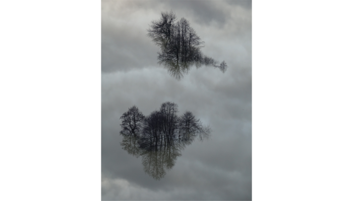Imaggeo On Monday: Reflections in floodwater