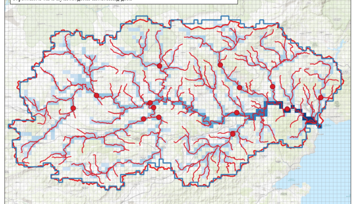 Which pixel represents my gauging station? Tackling an essential issue in gridded hydrology