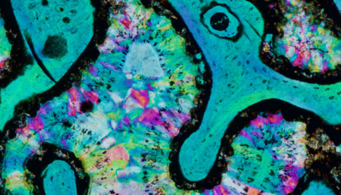 EGU Photo Competition 2026: Now open for submissions!