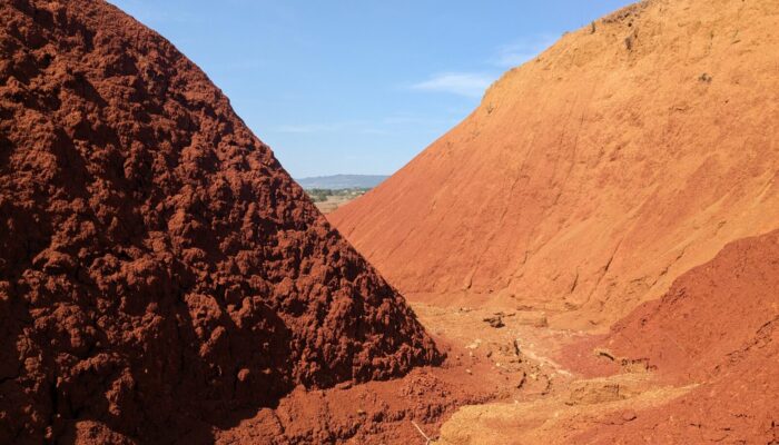 Why we need to put plants back in the soil carbon picture